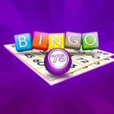 Bingo 75 img