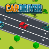 Car Driver img