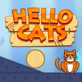 Hello Cats img
