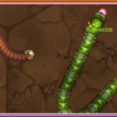 Little Big Snake img