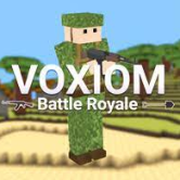 Voxiom.io img